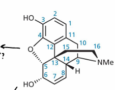 <p>Phenolic group on C3, bridging ether group carbons 4-5, hydroxyl group on C6, aromatic ring A, C=C double bond between C7-8, tertiary amine in ring E that can be protonated</p>