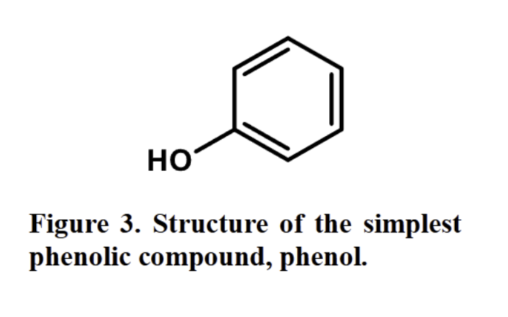 <p><span style="background-color: inherit; line-height: 21.85px; color: windowtext;"><span>A molecule that contains at least one aromatic ring with one or more hydroxyl-groups</span></span></p><p></p>