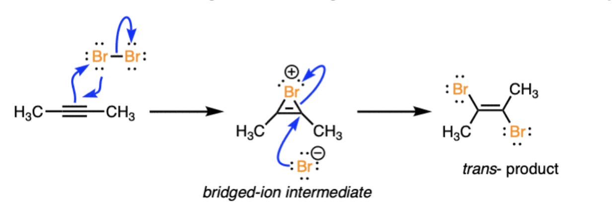 <p>bridged intermediate forms trans dihaloalkenes</p>