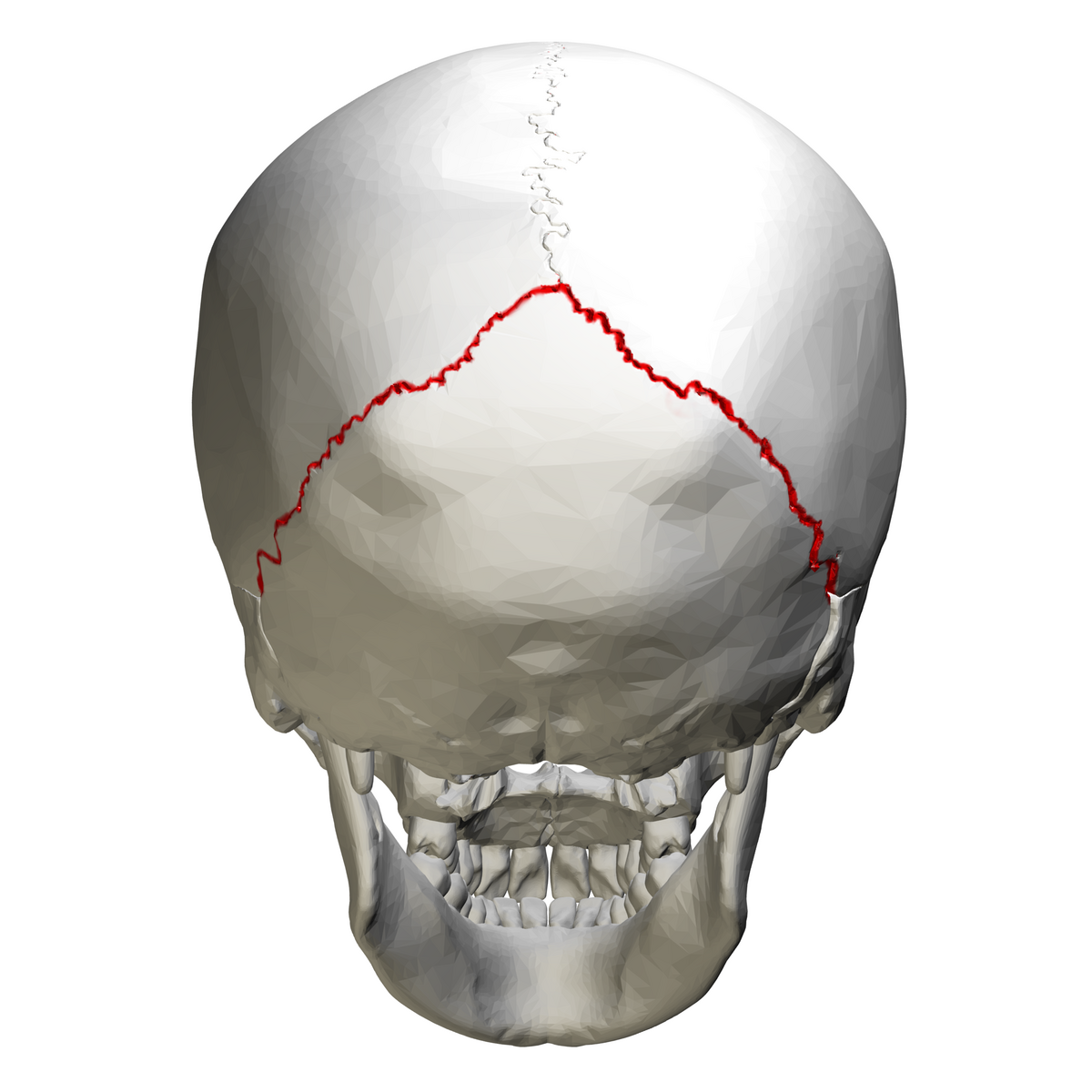 <p>Name the structure</p>