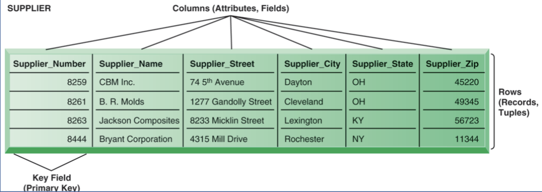 <p>table: grid of columns and rows</p>