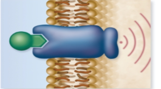 <p>This is a what doing what?</p>