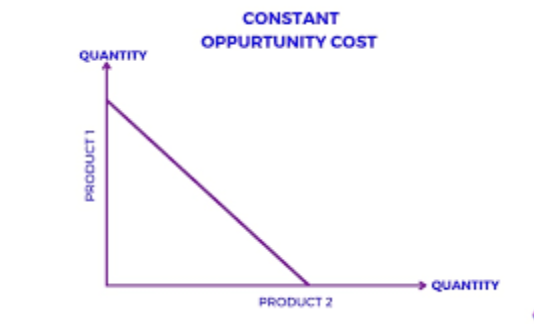 <p>PPF with constant opportunity cost </p>