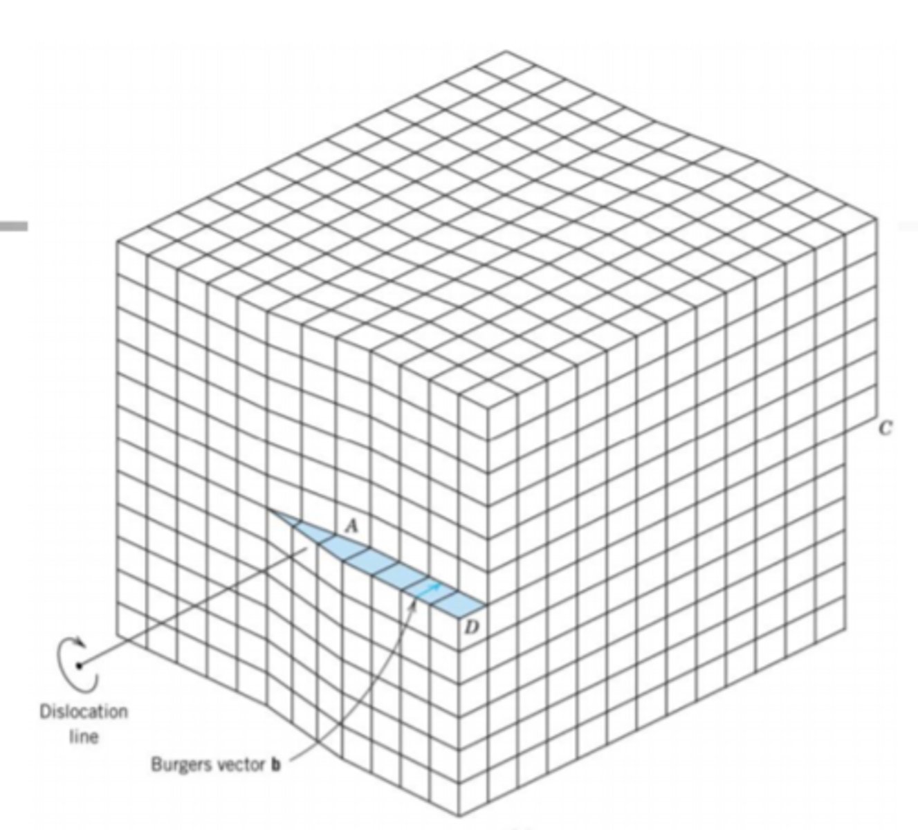 <p>perpendicular to the applied shear direction</p>