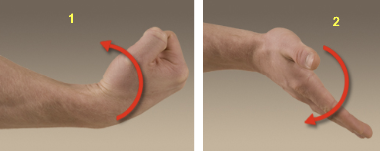 <ol><li><p>Flexion </p></li><li><p>Extension </p></li></ol><p></p>