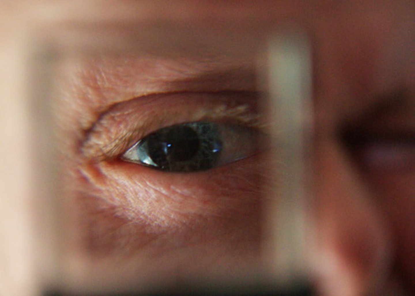 <p>to witness</p>