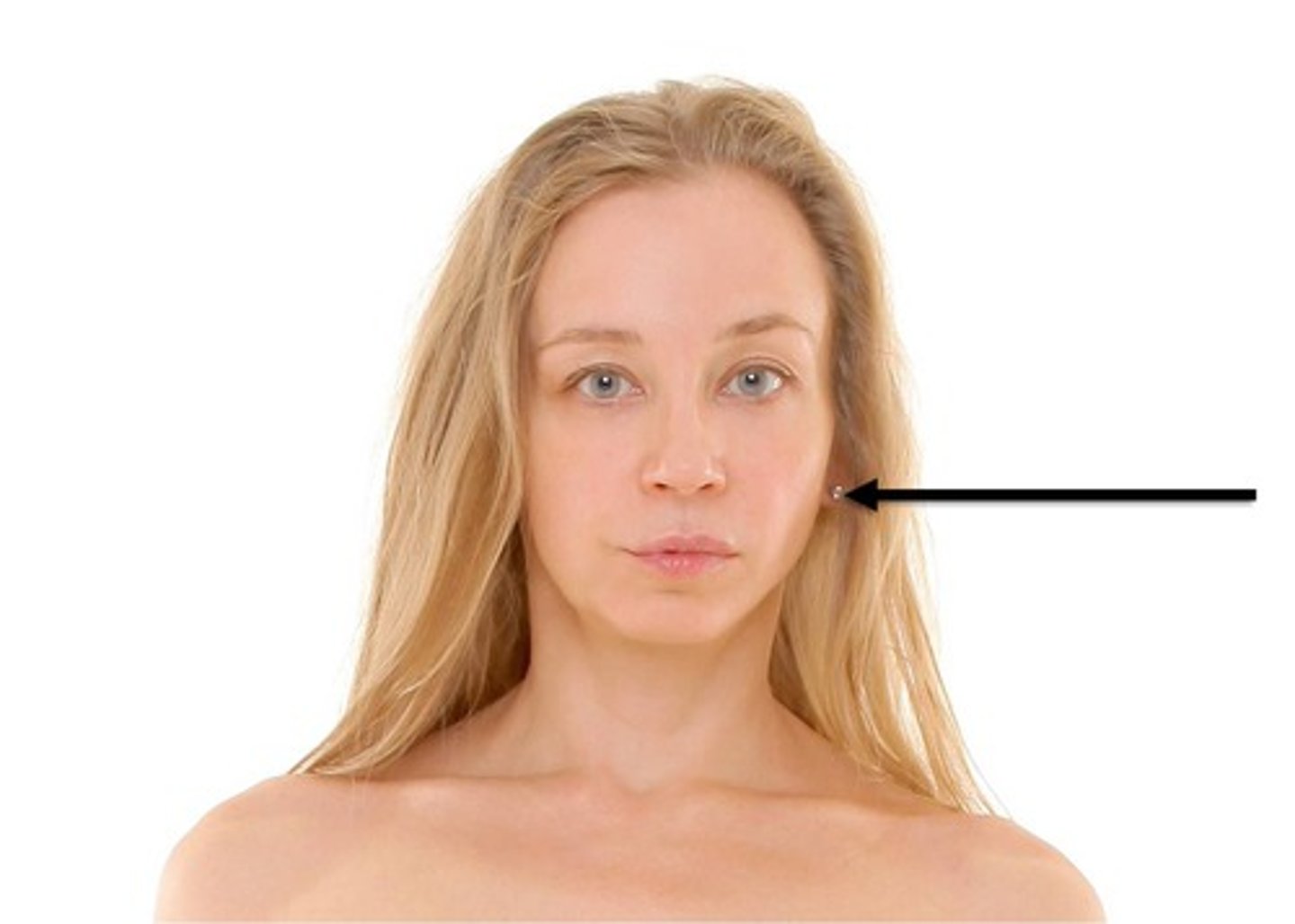 <p>pertaining to the ear, also called auricular</p>