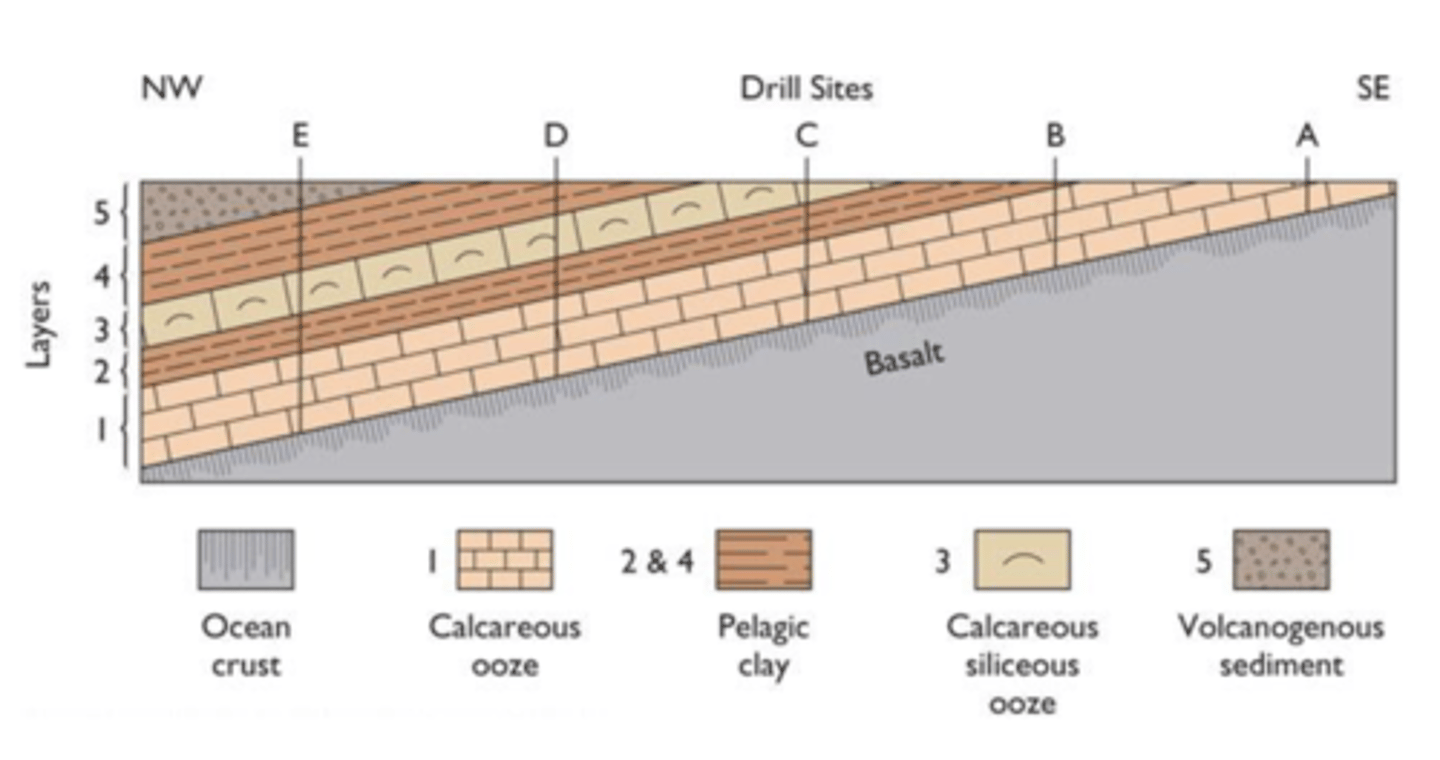 <p>1) Ca ooze near MOR</p><p>2) Pelagic clay away from MOR</p><p>3) Ca-Si ooze at equator</p><p>4) Pelagic clay away from equator</p><p>5) Volcanogenous and terrigenous seds at volcanic arc</p>