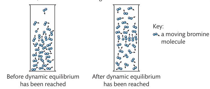 <p>when two processes take place at the same rate so there is no further change in concentration of the substances involved</p>