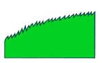 <p>finely serrated leaf margin</p>