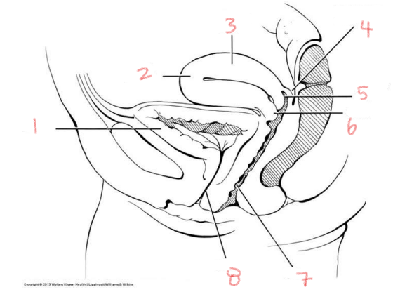 <p>6</p>