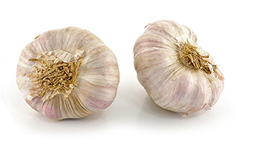 <p>Garlic</p>