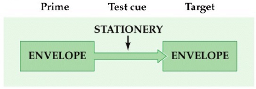 <p>• test cue is conceptually/semantically related to prime</p><p>• example: category-association test (generate words in response to cue)</p>