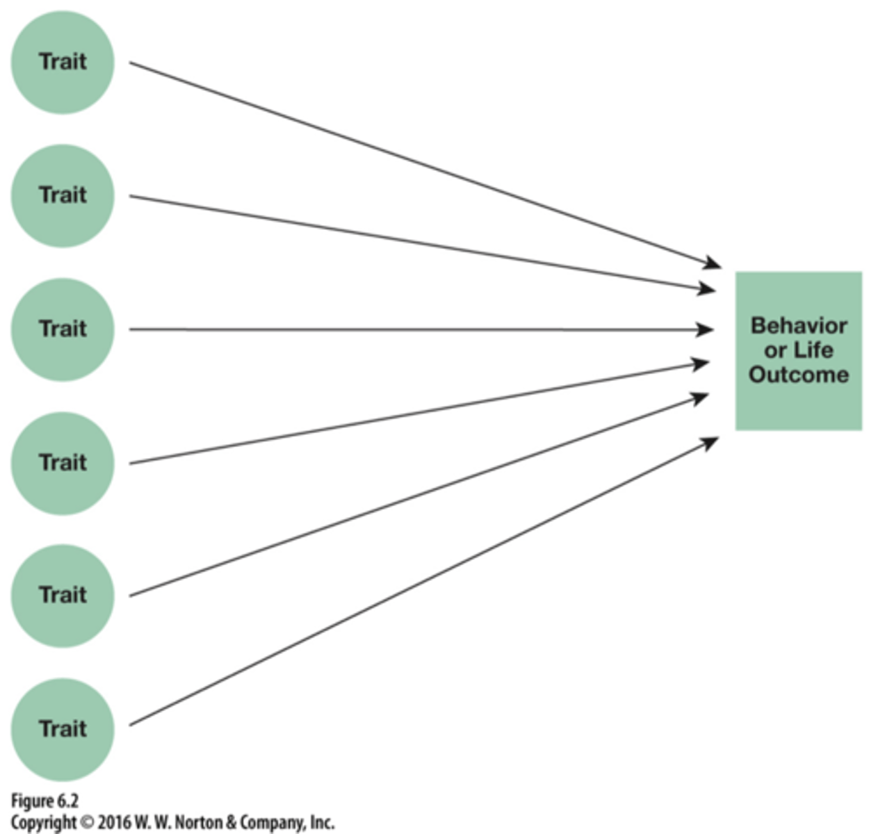 <p>Many-Trait Approach</p>