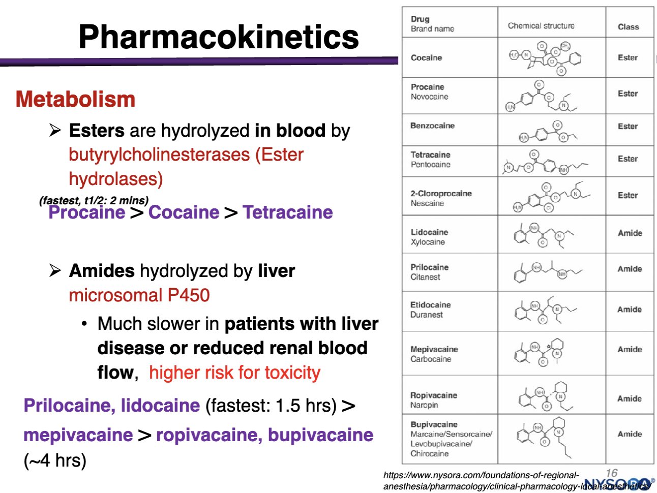 <p>ester hydrolases made in the liver and found in systemic circulation </p><p></p><p>procaine&gt;cocaine&gt;tetracaine</p><p>(within minutes) </p>