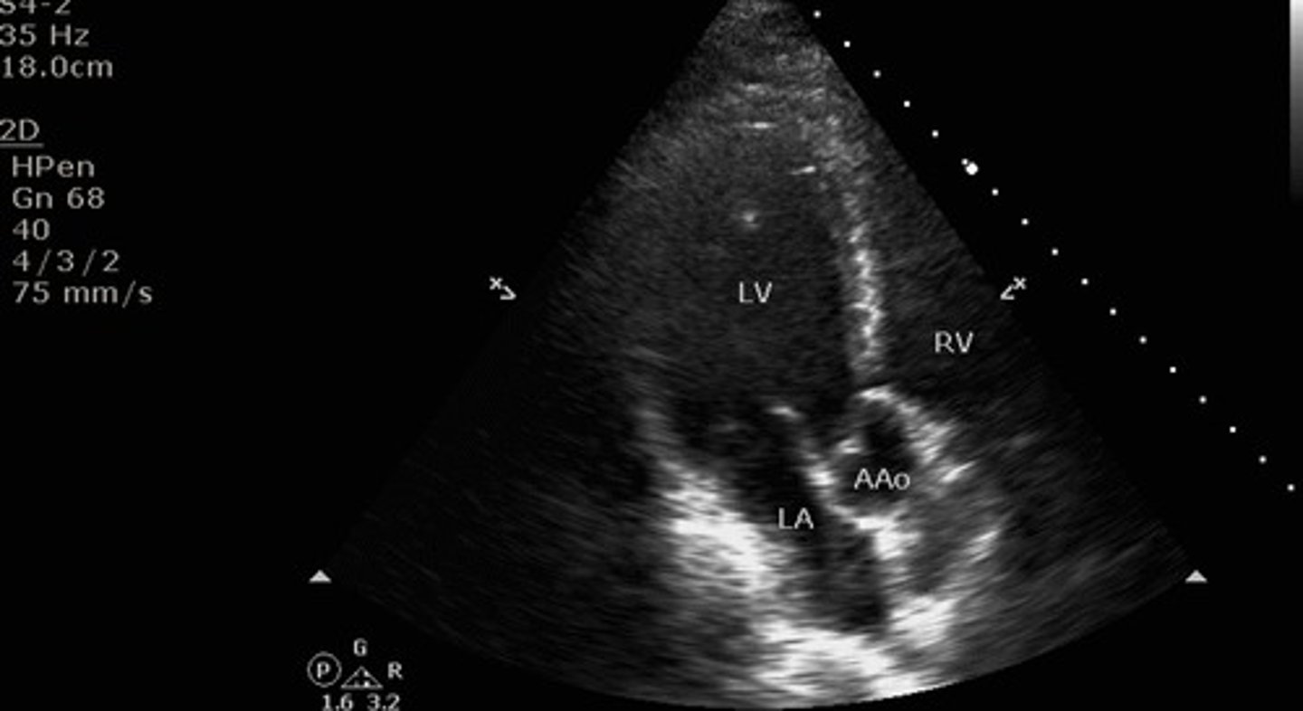 <p>what view is this?</p>