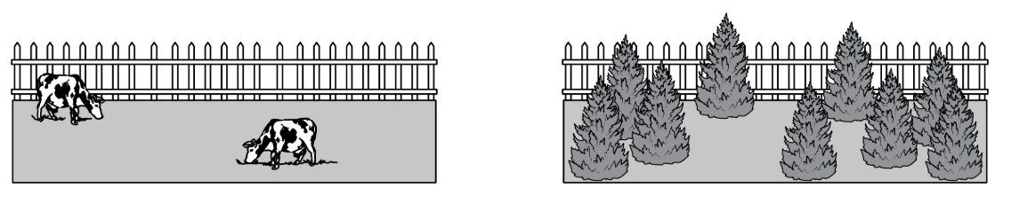 <p>The diagrams above show an area that was once a pasture that has since undergone changes to the vegetation over time. Which of the following changes in the hydrologic cycle is most likely to occur as a result of the change in vegetation in the area?</p><p><strong>A</strong></p><p class="choice_paragraph">Increased infiltration</p><p><strong>B</strong></p><p class="choice_paragraph">Increased runoff</p><p><strong>C</strong></p><p class="choice_paragraph">Decreased transpiration</p><p><strong>D</strong></p><p class="choice_paragraph">Decreased precipitation</p>