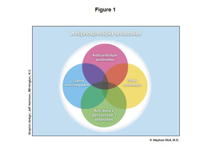 <ul><li><p>Group of immunoglobulins that bind protein–phospholipid complexes</p></li><li><p>Includes:<br>• Lupus anticoagulant (LA)<br>• Anticardiolipin antibodies<br>• Anti–β2 glycoprotein I antibodies<br>• Other less defined antibodies</p></li></ul><p></p>