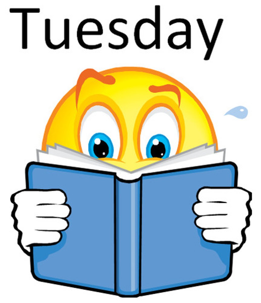 <p>Tuesday</p>
