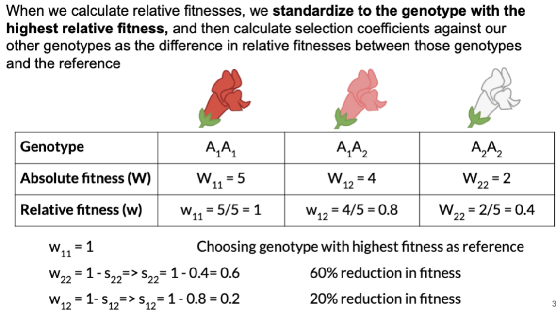 <p>S22= 1 - w22 = 1 - 0.4 = 0.6</p><p>S12 = 1 - w12 = 1 - 0.8 = 0.2</p>