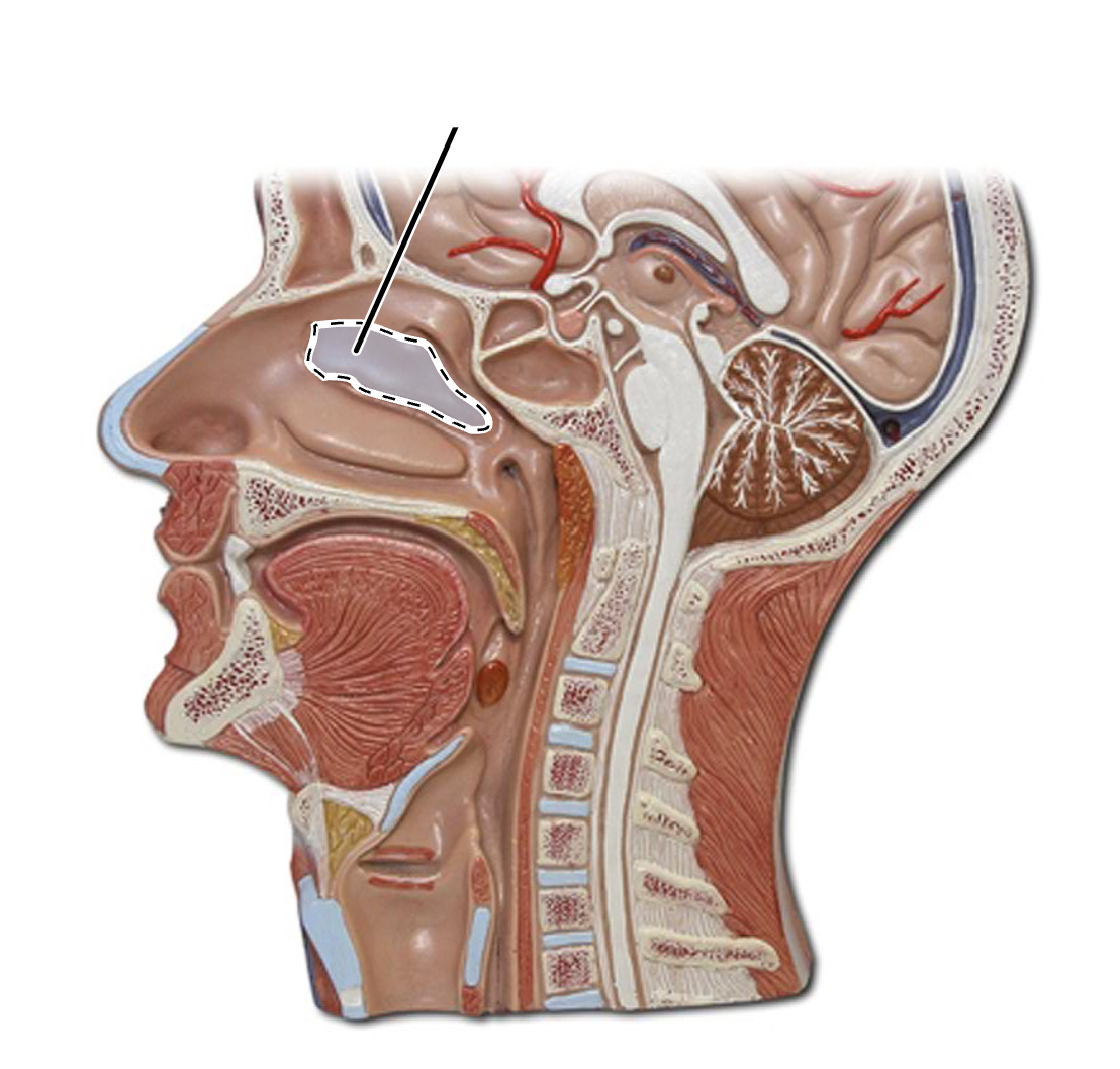 <p>What is this?</p>