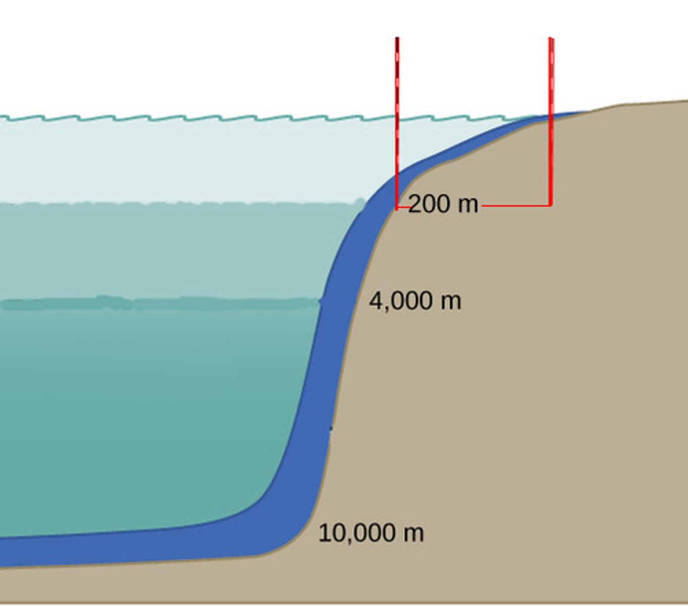 <p>Part of the ocean that extends from low tide to the edge of the continental shelf. </p>