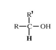 <p>A functional group containing 2 hydrocarbon chains.</p>