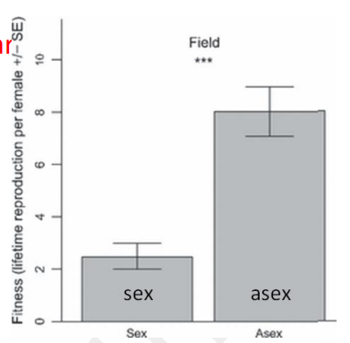 True-false.

According to the bar graph on the right, facultatively sexual rotifers have fewer offspring when they have sex than when they don’t. 