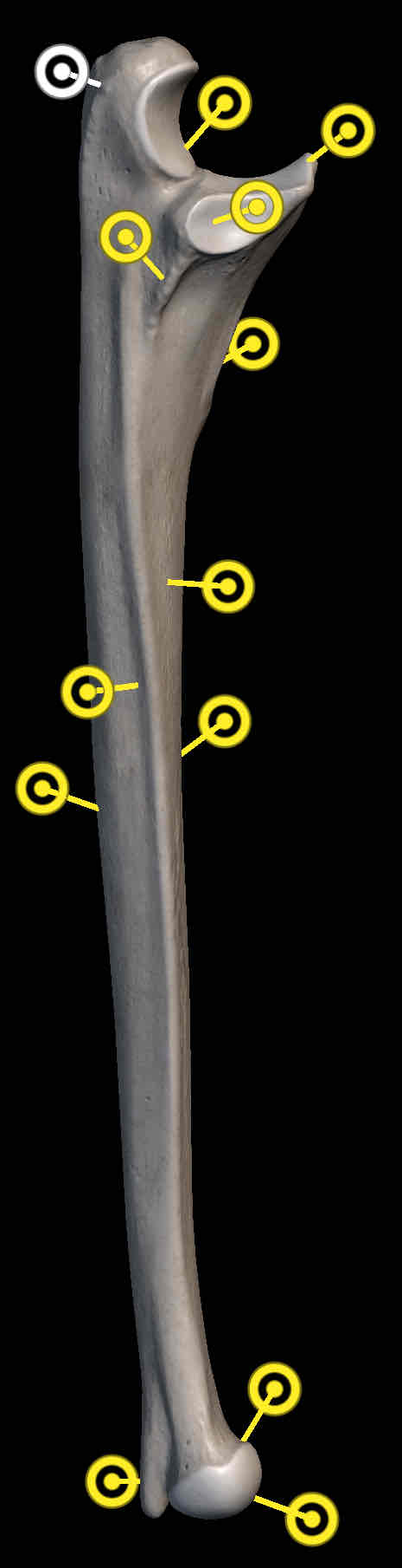<p>Name the structure </p>