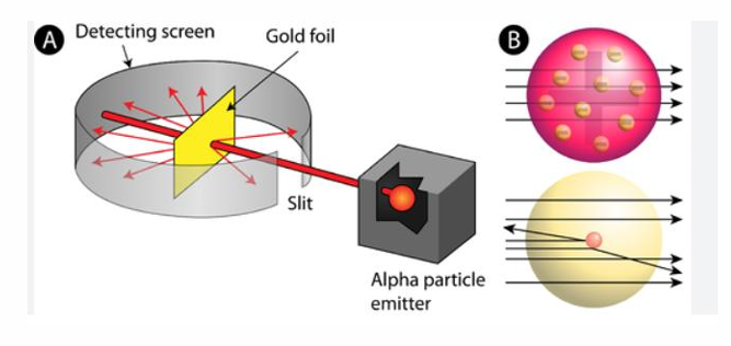 <ul><li><p>His experiment involved directing alpha particles at a thin sheet of metal foil</p></li><li><p>He calculated that an atom is mostly space occupied by electrons, but in the center of that space is a tiny region called nucleus</p></li></ul><p></p>