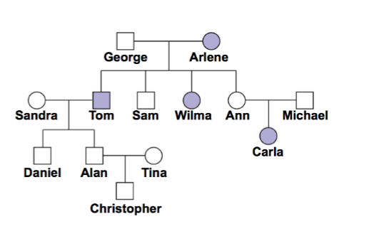 <p><span>The pedigree below shows the inheritance of alkaptonuria, a biochemical disorder. This is NOT an X-linked trait. Males are shown with boxes and females with circles, purple shapes represent individuals with alkaptonuria.</span><br><span>a. Is this condition caused by a dominant allele or a recessive allele? Provide evidence from the pedigree to support your answer.</span></p><p><br><span>b. Which individuals’ genotypes can be deduced from this pedigree? Label all the persons whose genotype can be determined. Which individuals’ genotypes cannot be determined?</span></p>