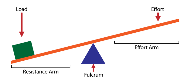 <p>any elongated object that <strong>rotates</strong> around a fixed point called a <strong>fulcrum</strong></p><p>rotation occurs when an effort overcomes resistance (load) at some other point</p>