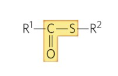 <p>Name this functional group</p>