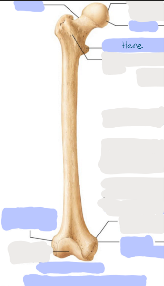<p>What is here?</p>