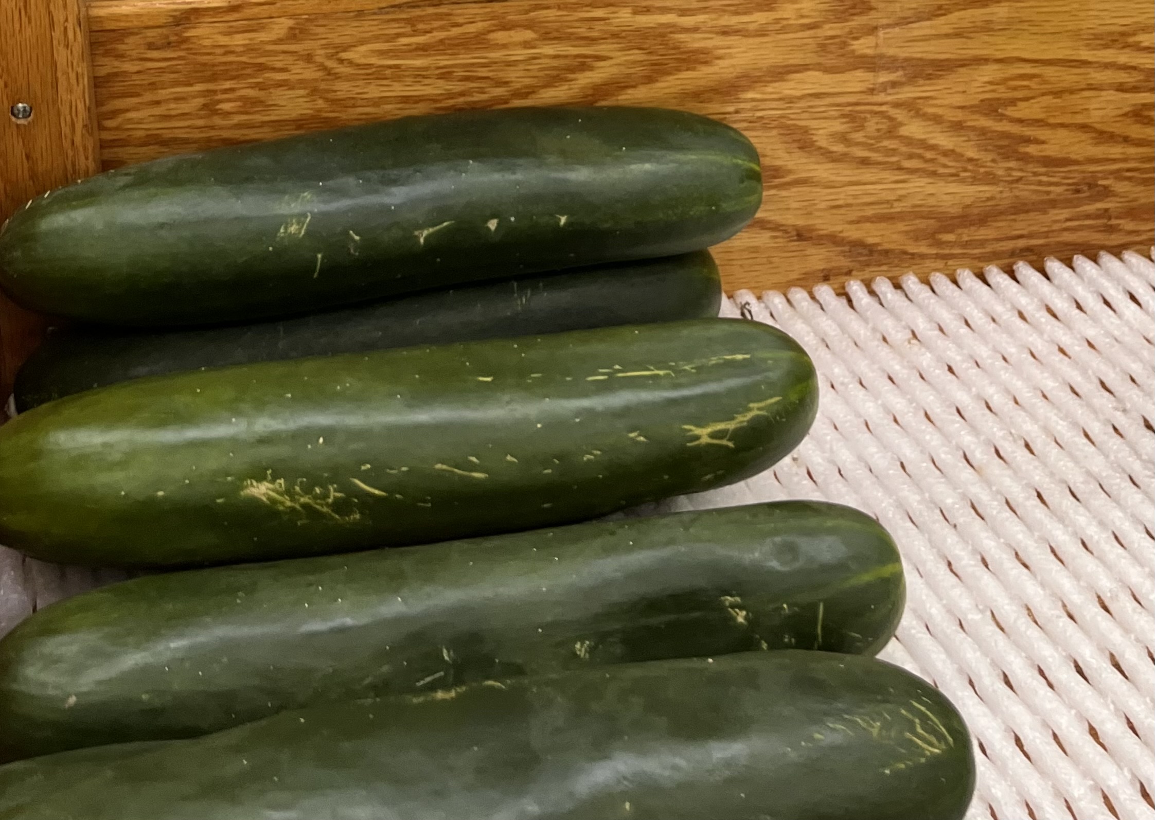 <p>CUCUMBER</p>