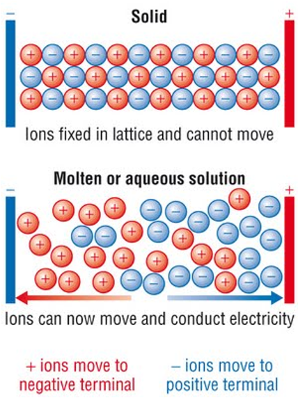 <p>Conducts electricity because ions are free to move and carry charge.</p>