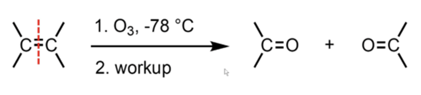 <p>it "saws" the double bond in half and places an oxygen at the end of each half</p>