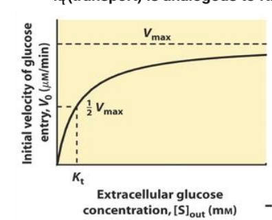 <p>describe this plot</p>