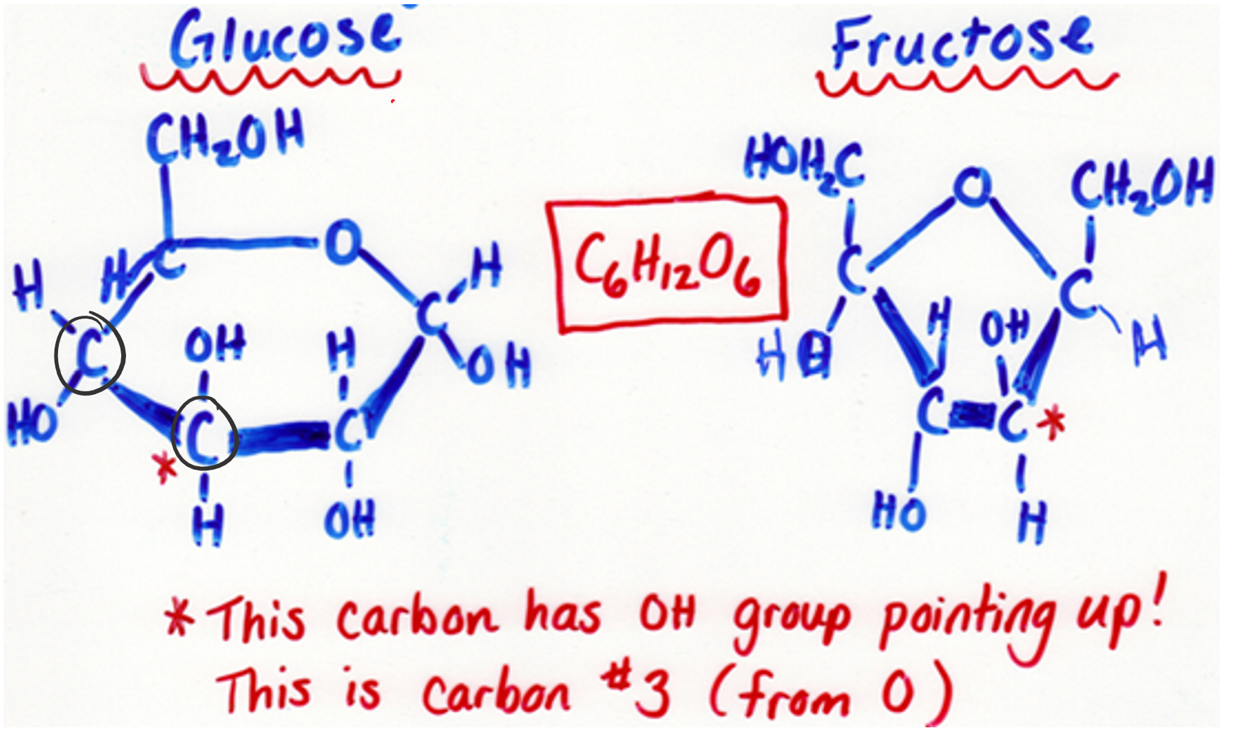 <p>Monosaccharide</p>