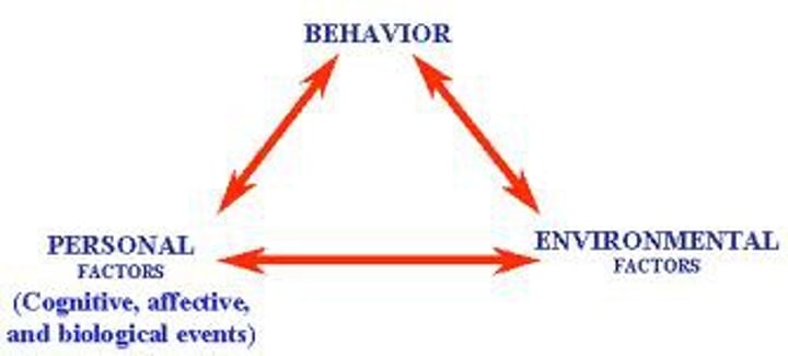 <p>- The interacting influences between personality, the environment, &amp; behavior. <br>- They all are affected by one another &amp; vise versa.</p>