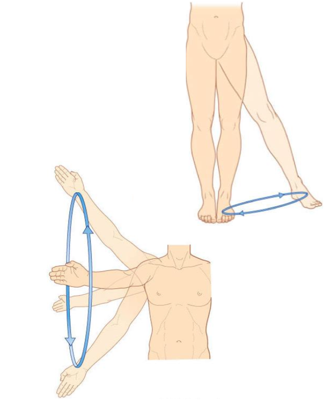 <p>identify the compound movement</p>