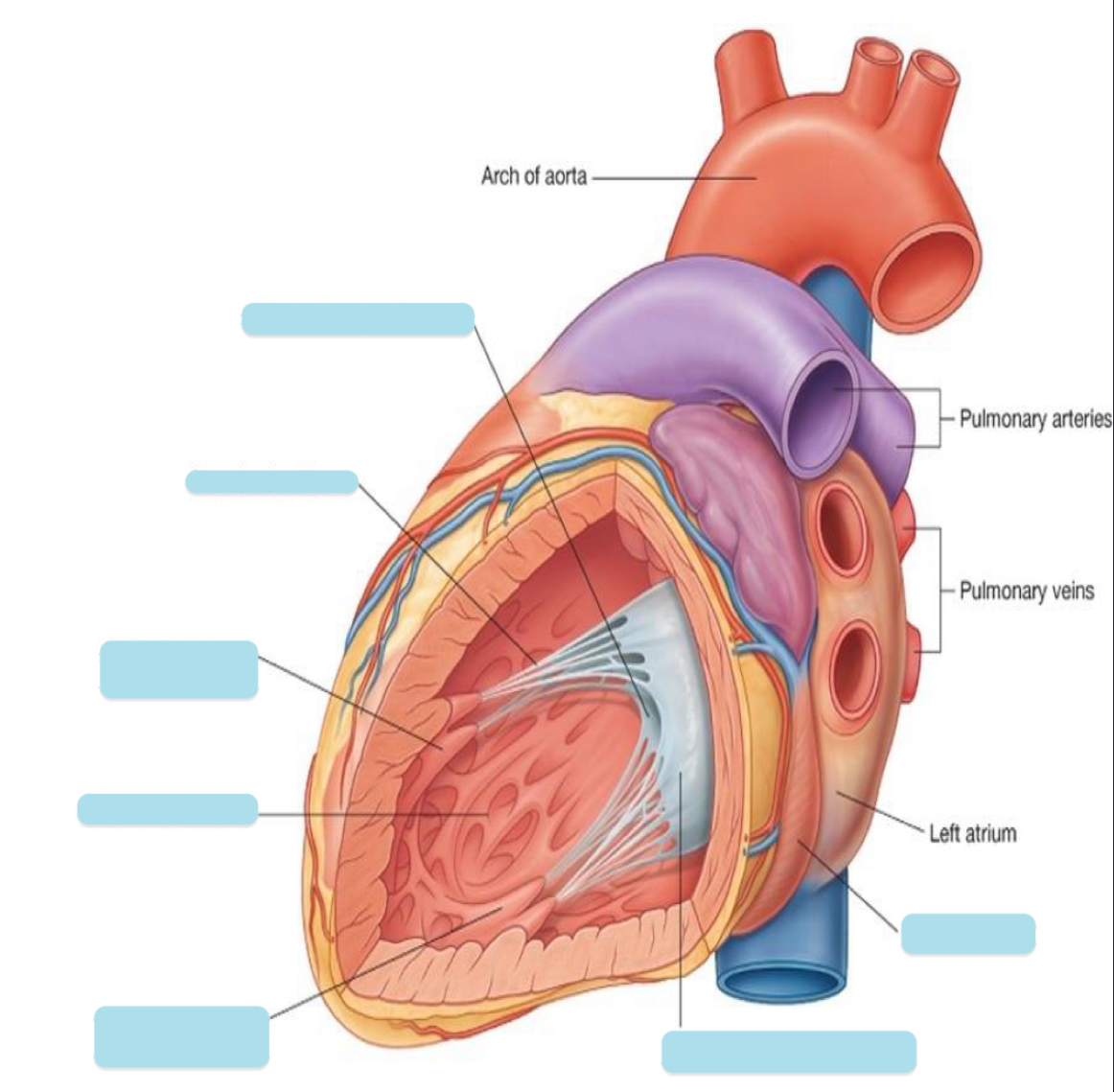 <p>Name the covered parts in the following photo</p>