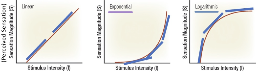 <ul><li><p>relate physical stimuli to perceptual experiences using mathematical models bc useful to compare data</p></li><li><p>func: mathematical description of how one variable is related to another; generally formula </p></li><li><p><strong>exponential</strong>: at lower intensities, no change pain sensation but w/ higher intensities you get increased perception pain</p></li><li><p><strong>log</strong>: small increases at lower intensities = high sensation</p><ul><li><p>high slope at low intensity</p></li></ul></li></ul>