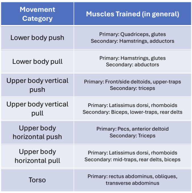 KIN 300 Lecture 16 Resistance Exercise Prescription Notes Knowt