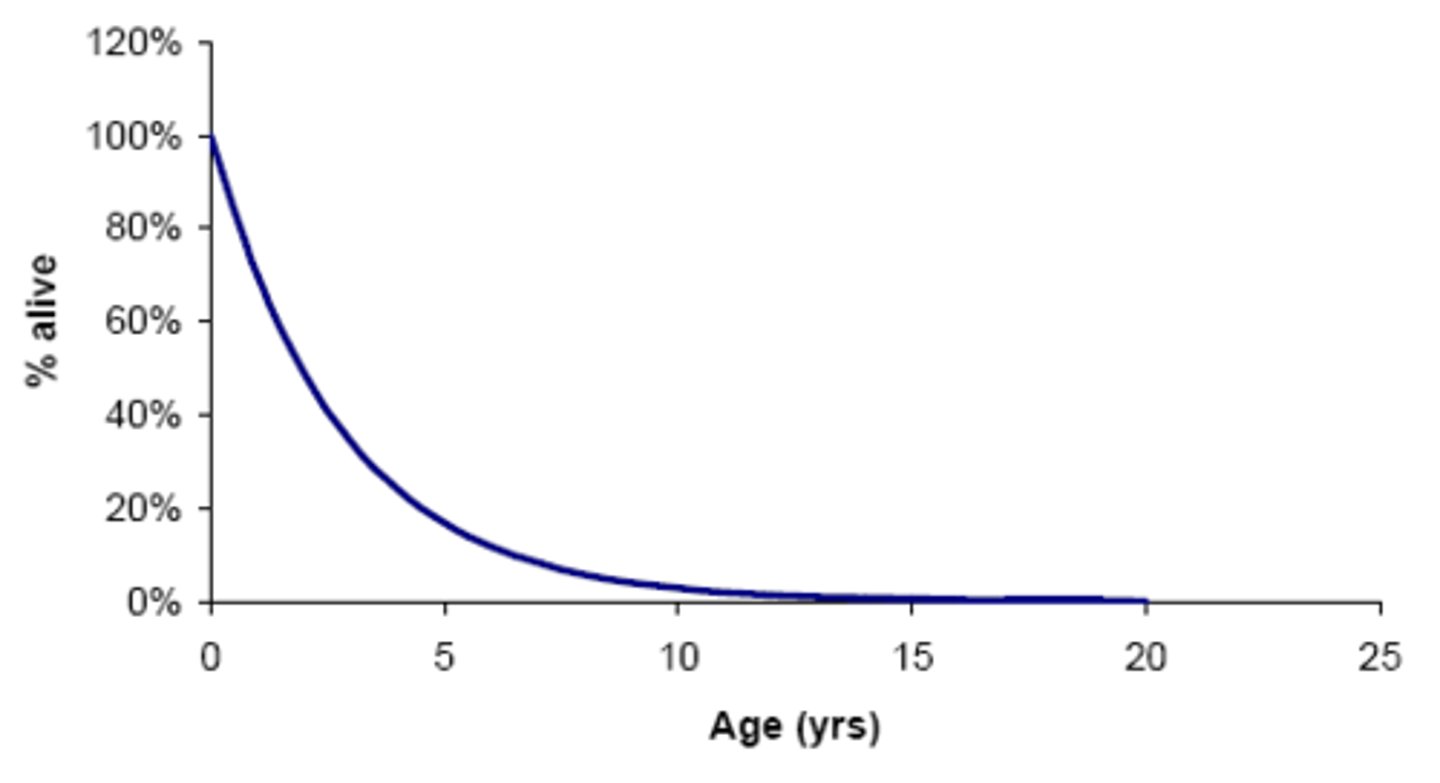 <p>very high death rates for young</p><p>low death rates for those that survive early life</p>