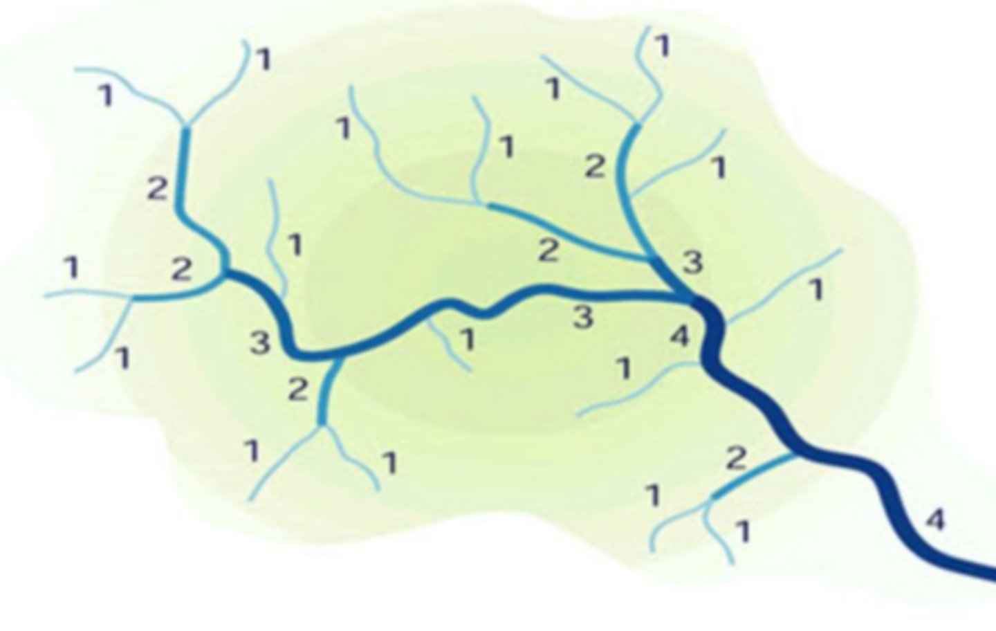 <p>smaller streams lead to larger streams, which lead to larger streams, then to the main waterway</p>