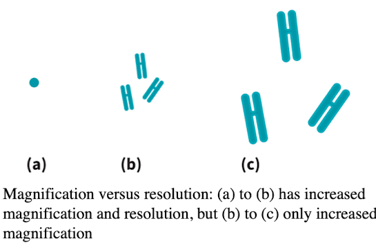 <p>Ability to distinguish two points:</p><ul><li><p>Numerical aperture measures the lens light-gathering qualities</p></li><li><p>Limit of resolution depends on the wavelength of light</p></li></ul><p></p>