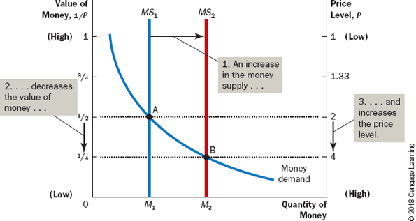 <ul><li><p>Money injection shifts the supply curve to the right (from MS1 to MS2)</p></li><li><p>This move equilibrium from point A to B</p></li><li><p>Value of money (shown on the right) decreases from 2 to 4</p></li><li><p>In other words, when an increase in the money supply makes dollars more plentiful, the result is an increase in the price level that makes each dollar less valuable.</p></li></ul>