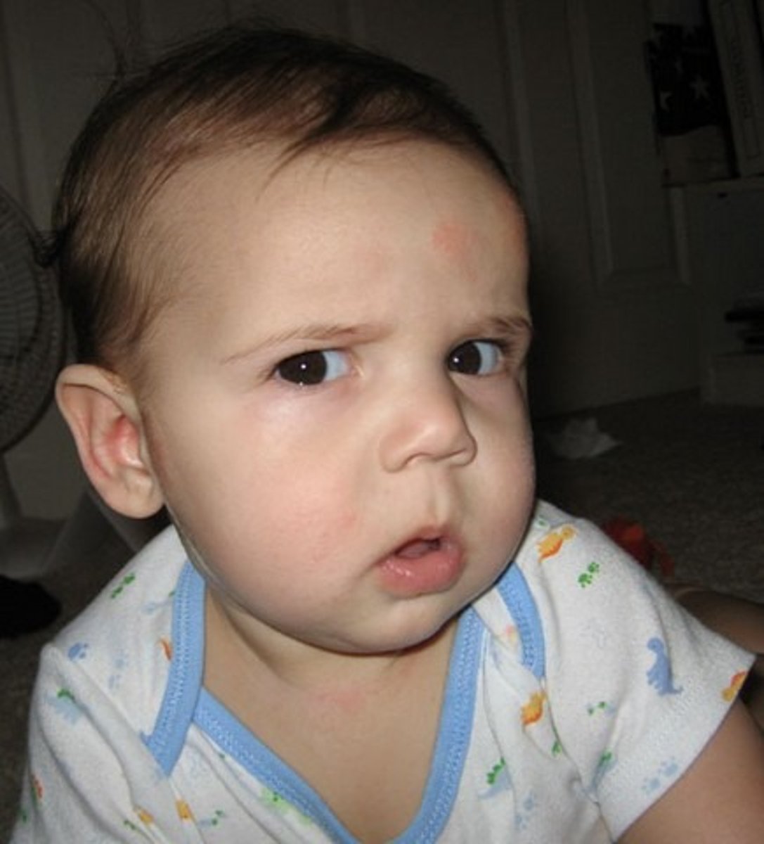 <p>chủ nghĩa hoài nghi</p>