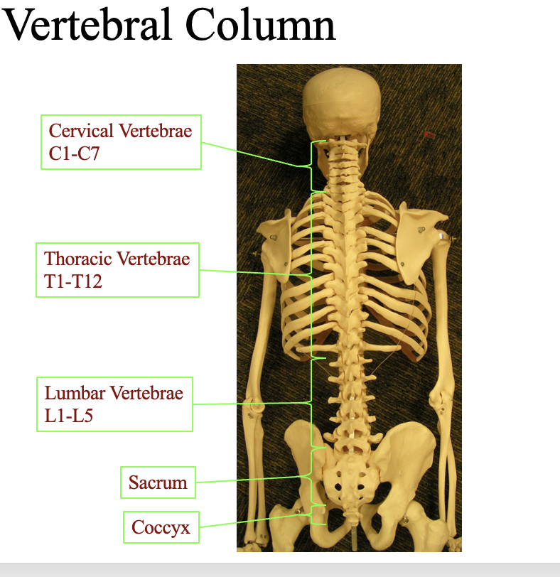 <p>look at the diagram&nbsp;</p>